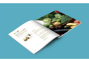 向北设计 农产品画册的策划、设计与品牌传播之道